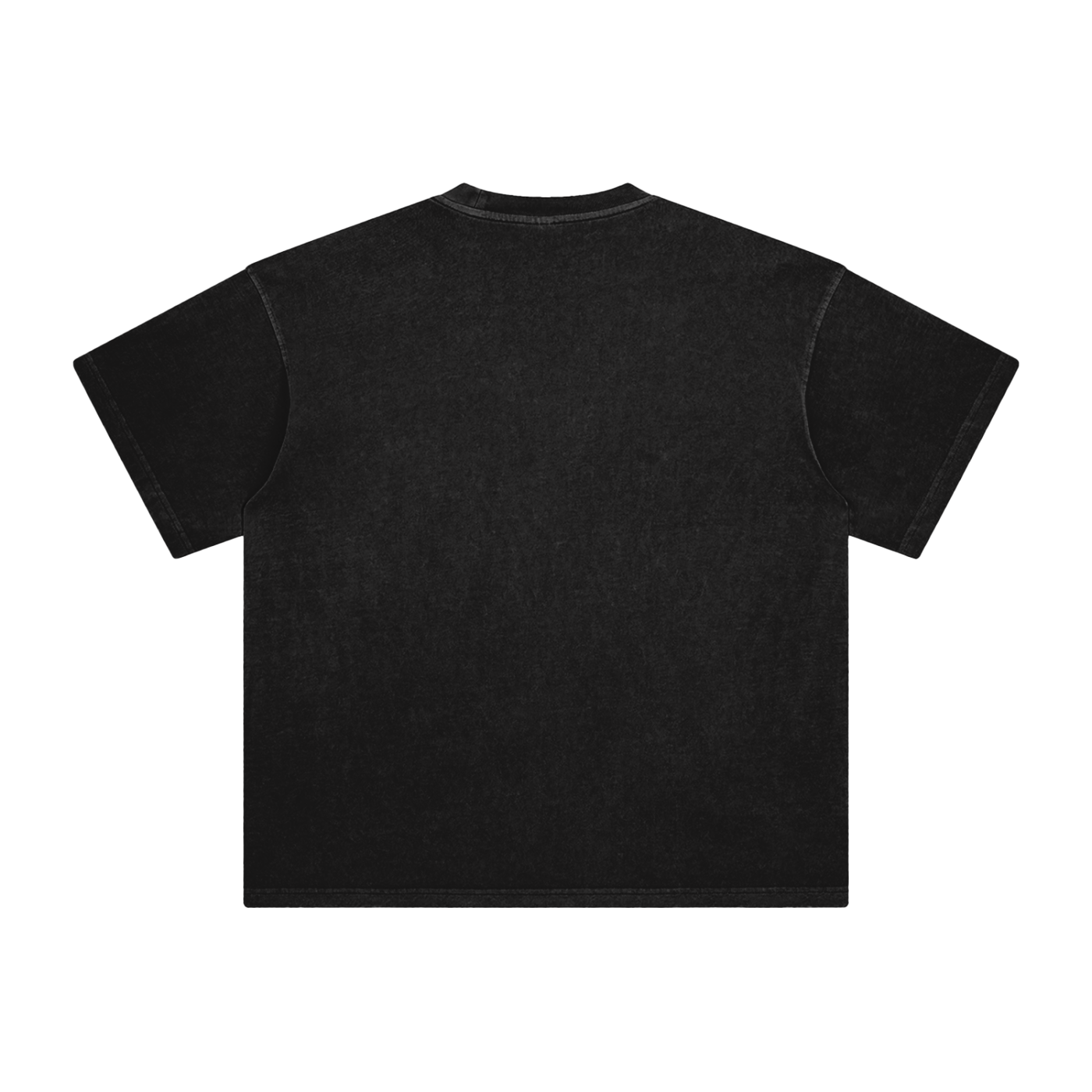Lost Ego Washed T-Shirt